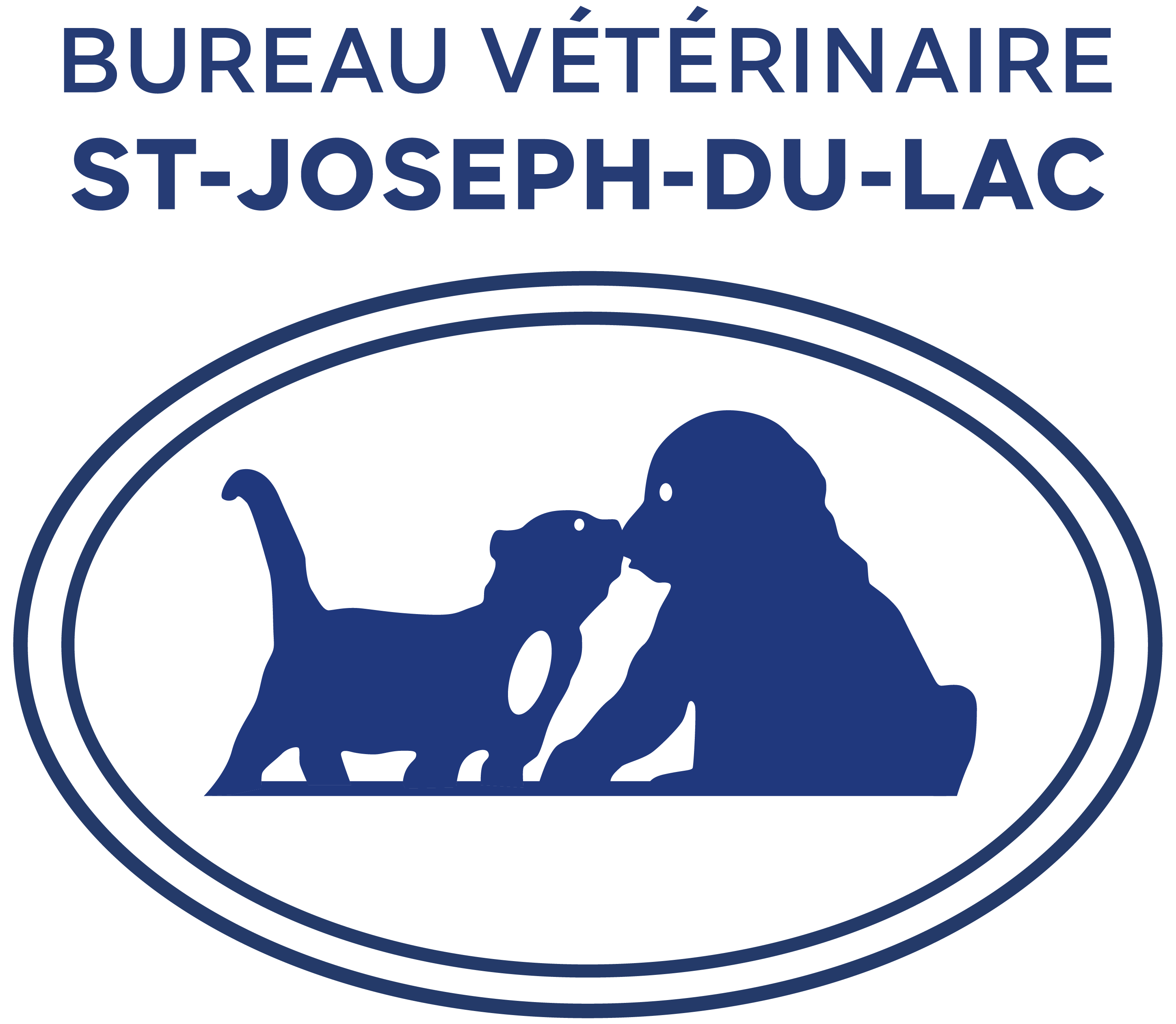 Bureau vétérinaire St-Joseph-du-Lac: Votre vétérinaire à Saint-Joseph-du-Lac, QC